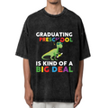 Dinosaur Preschool Graduate 2026 washed graphic T-shirt product image