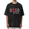 ECSE Teacher Name washed graphic T-shirt product image