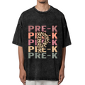 Pre-K Shirts washed graphic T-shirt product image